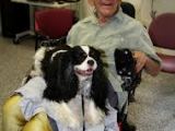 Procedures for Placing Therapy Dogs in Nursing Homes